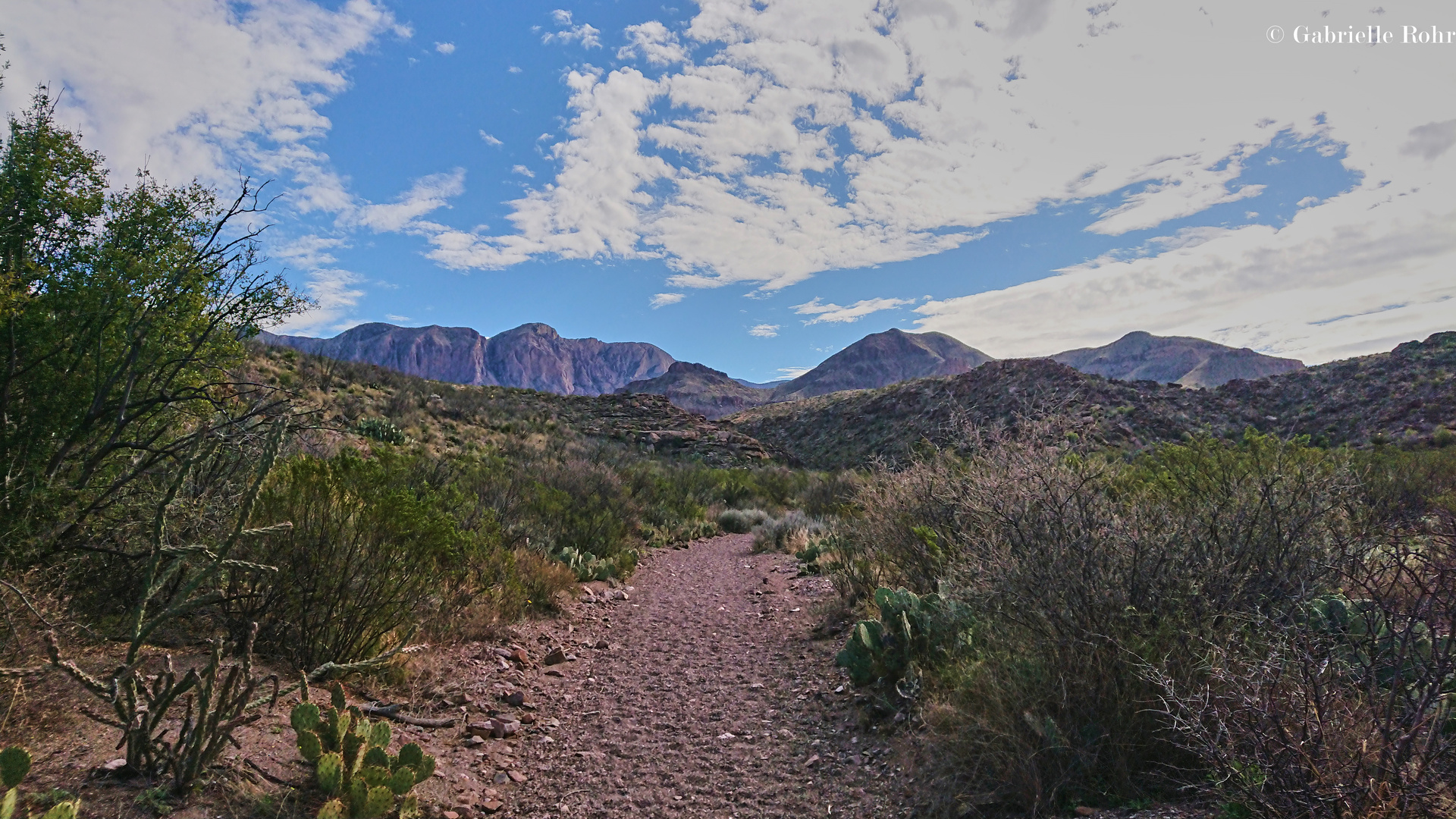 Big Bend NP