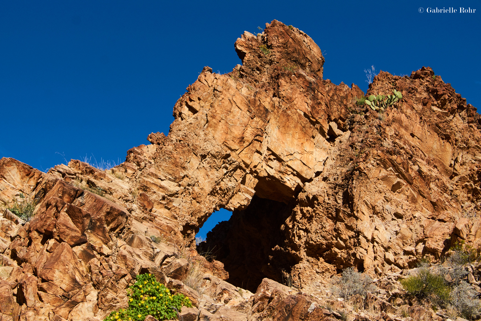 Big Bend NP