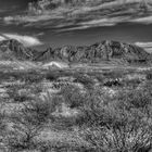 Big Bend NP