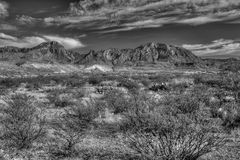 Big Bend NP