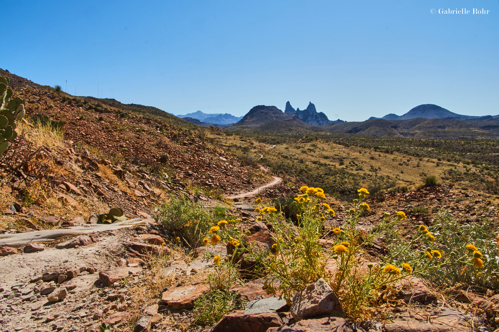 Big Bend NP