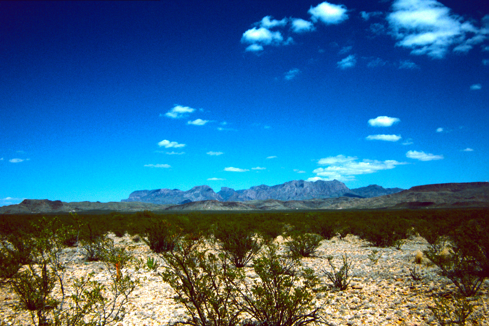 Big Bend N.P. TX - 1988