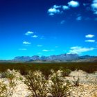 Big Bend N.P. TX - 1988