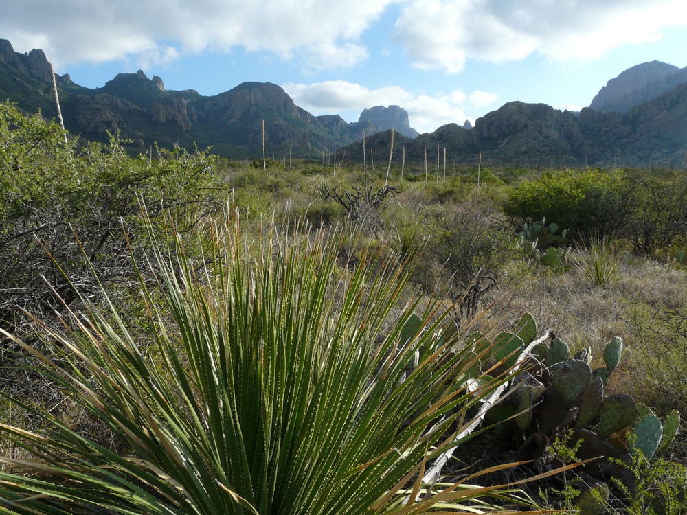 Big Bend, Texas