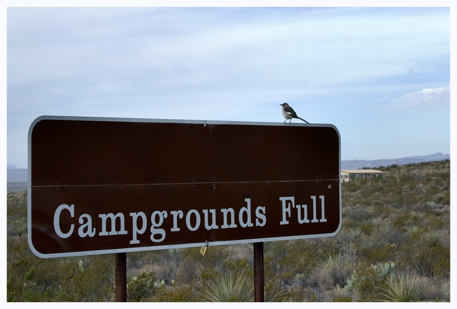 Big Bend Texas