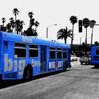 Big Blue Bus