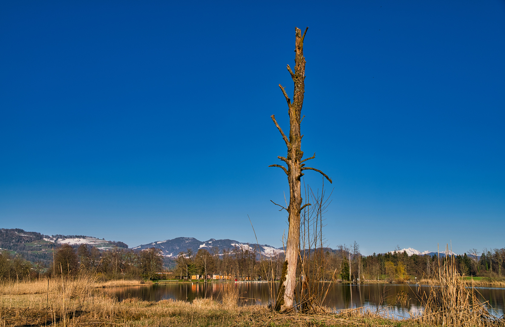 Big blue sky