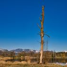 Big blue sky