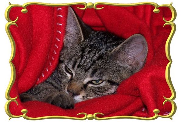 Big Brother is watching you 2