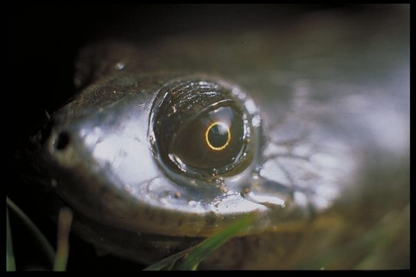 Big Brother is watching you