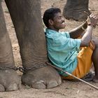 "Big Brother's Watching!", Kerala 2007