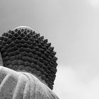 BIG buddha head