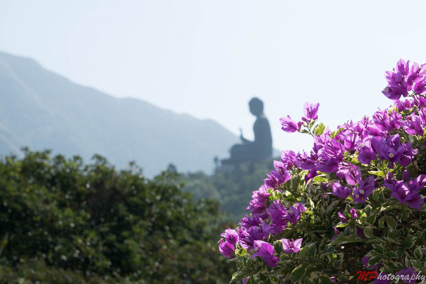 Big Buddha von Lantau