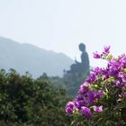 Big Buddha von Lantau