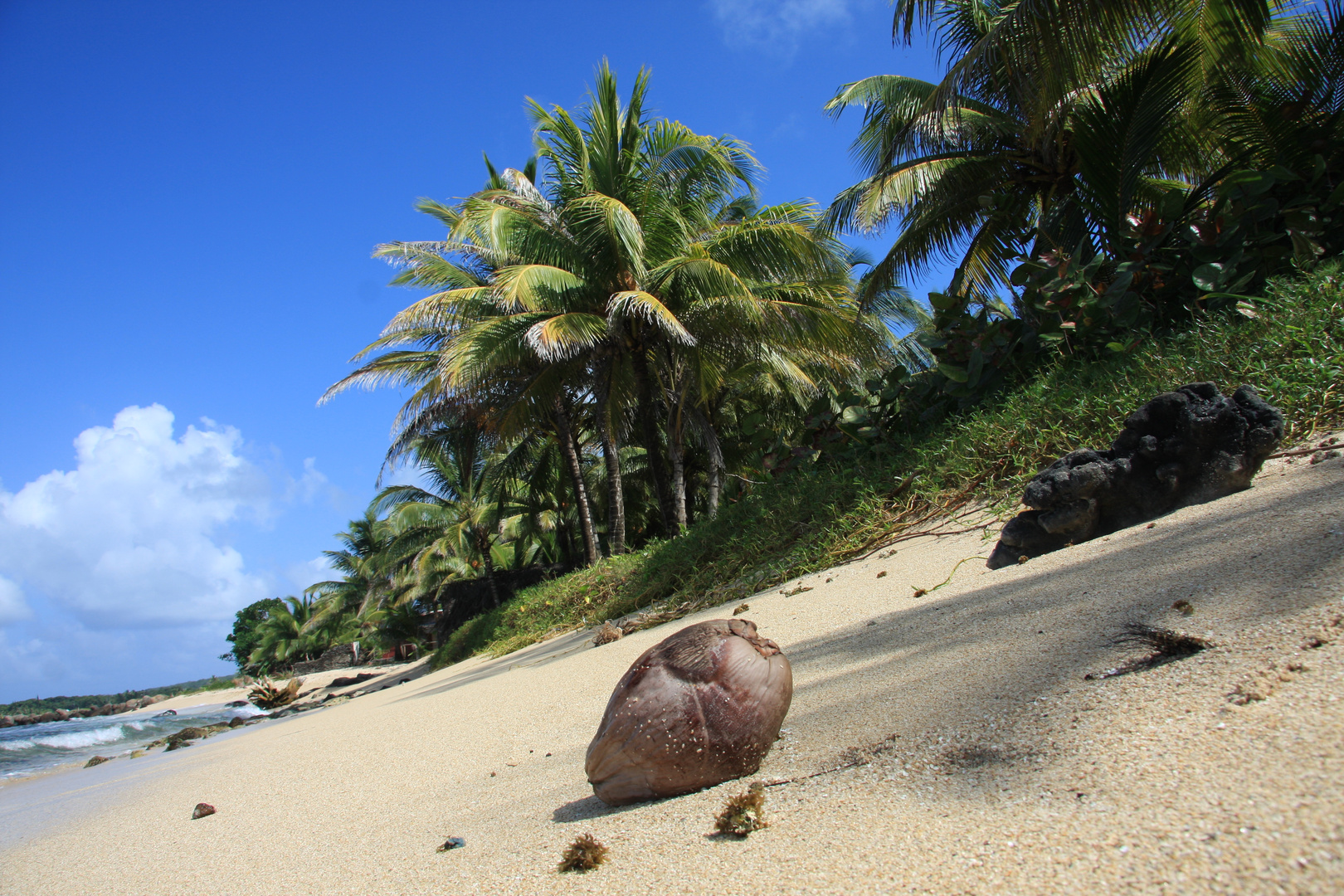 Big Corn Island