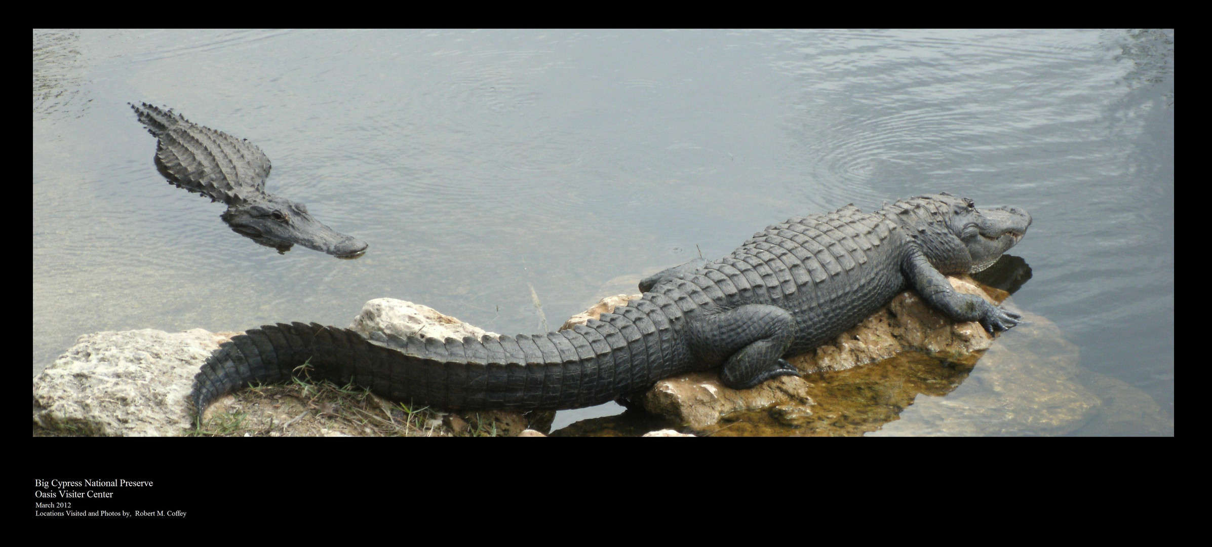 Big Cypress National Preserve - Oasis Visitor Center - March 2012 - 01