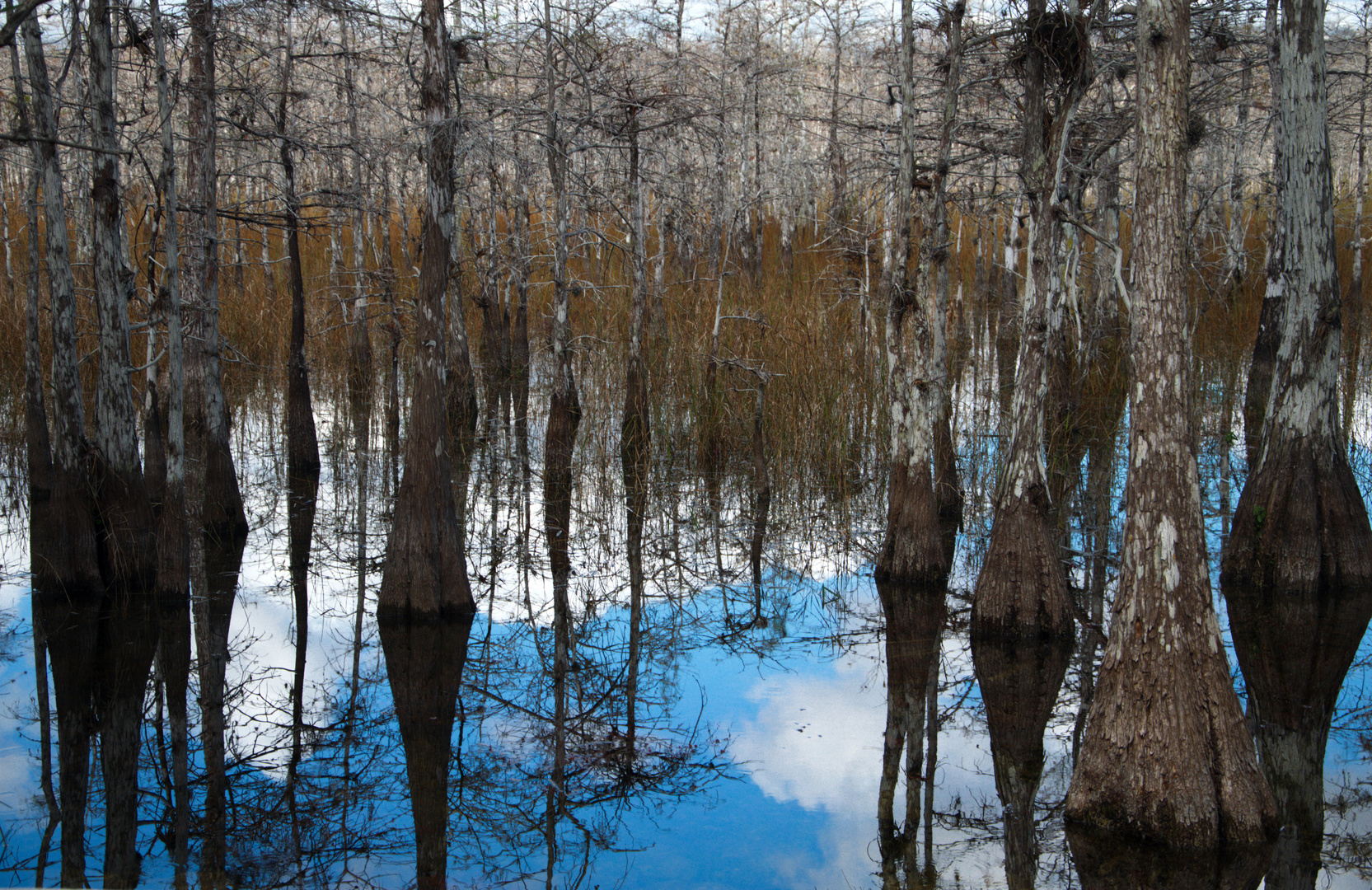 Big Cypress Schutzgebiet