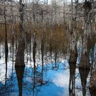 Big Cypress Schutzgebiet