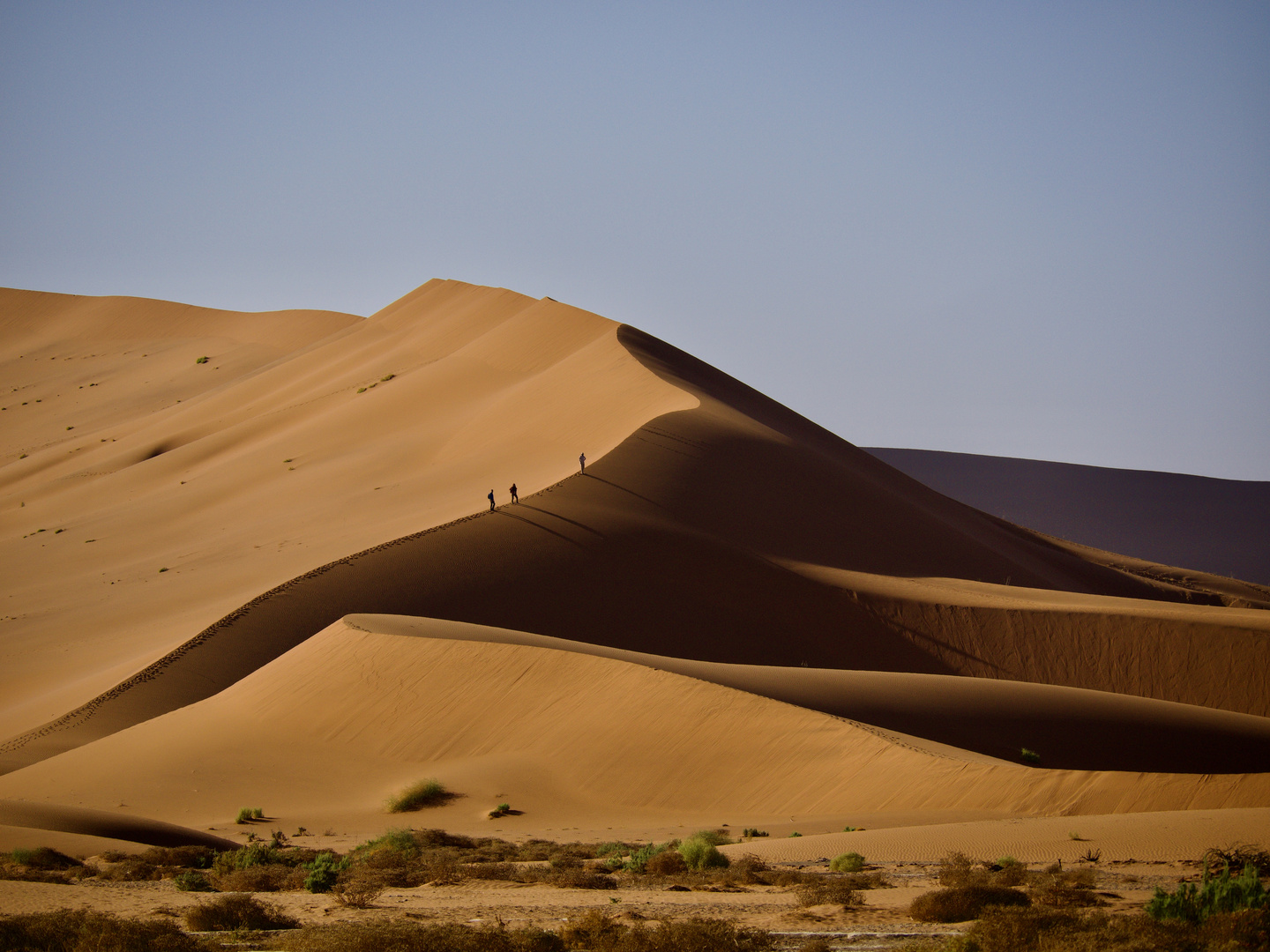 Big Daddy bei Sossusvlei