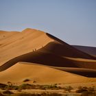 Big Daddy bei Sossusvlei