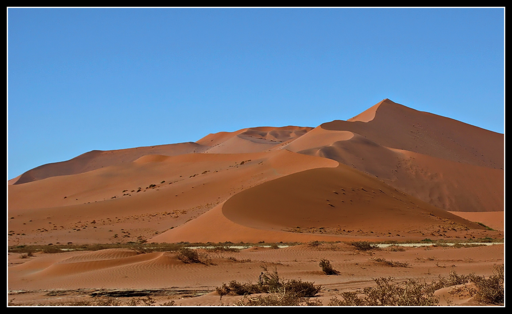 Big Daddy: weltweit höchste Düne im Sossusvlei