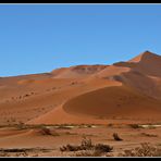 Big Daddy: weltweit höchste Düne im Sossusvlei