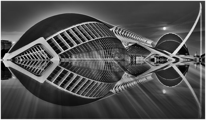 Big Fish Black & White