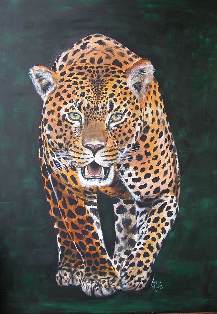 Big Five - Leopard