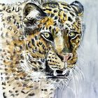 BIG FIVE Nr. 3 - Leopard