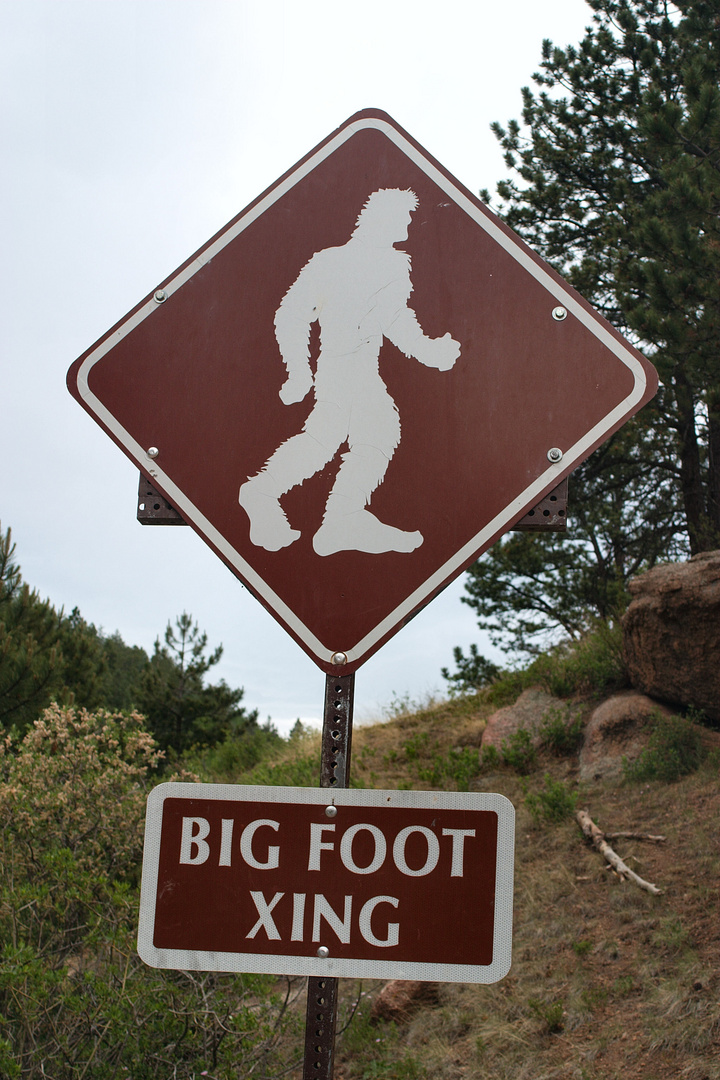 Big Foot ??? Und es gibt ihn doch !!! Foto & Bild north america