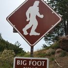 Big Foot ??? Und es gibt ihn doch !!!