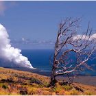 Big Island...