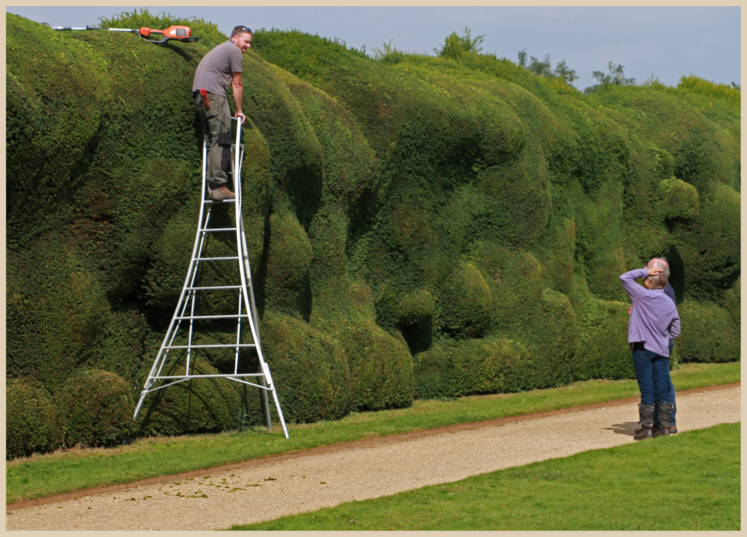 big job at montacute house