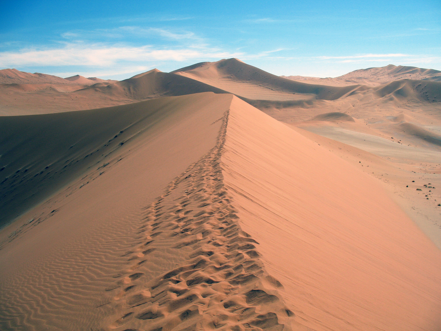 Big Mama im Sossusvlei