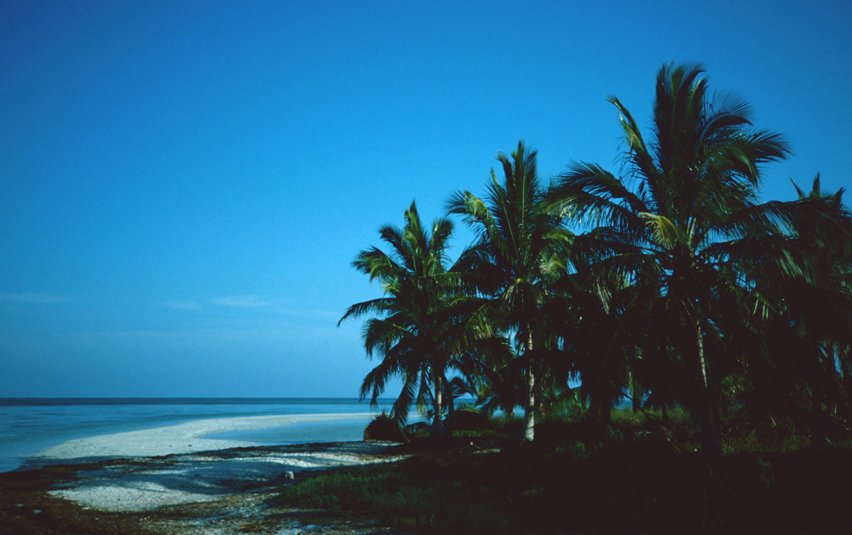 Big Pine Key, FL - 1989