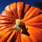 Big Pumpkin