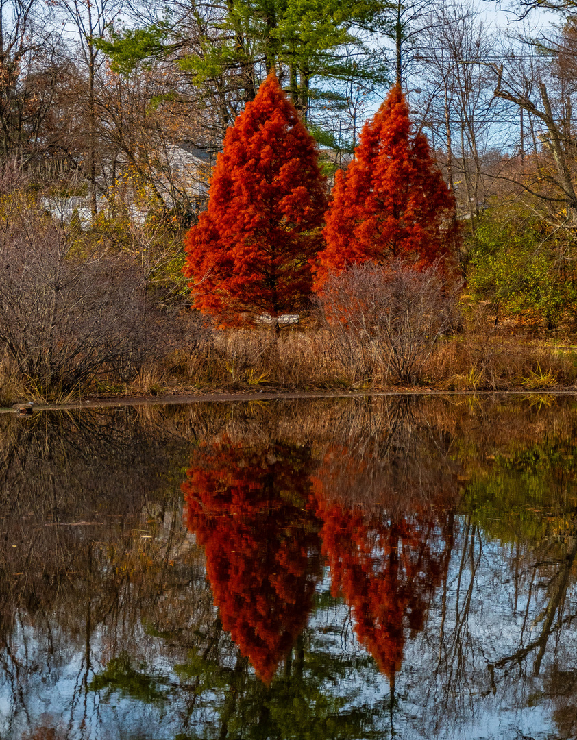 Big Red