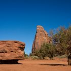 big rocks and trees