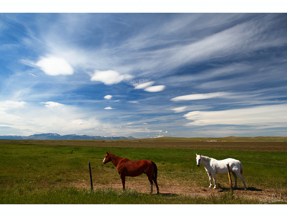 Big Sky