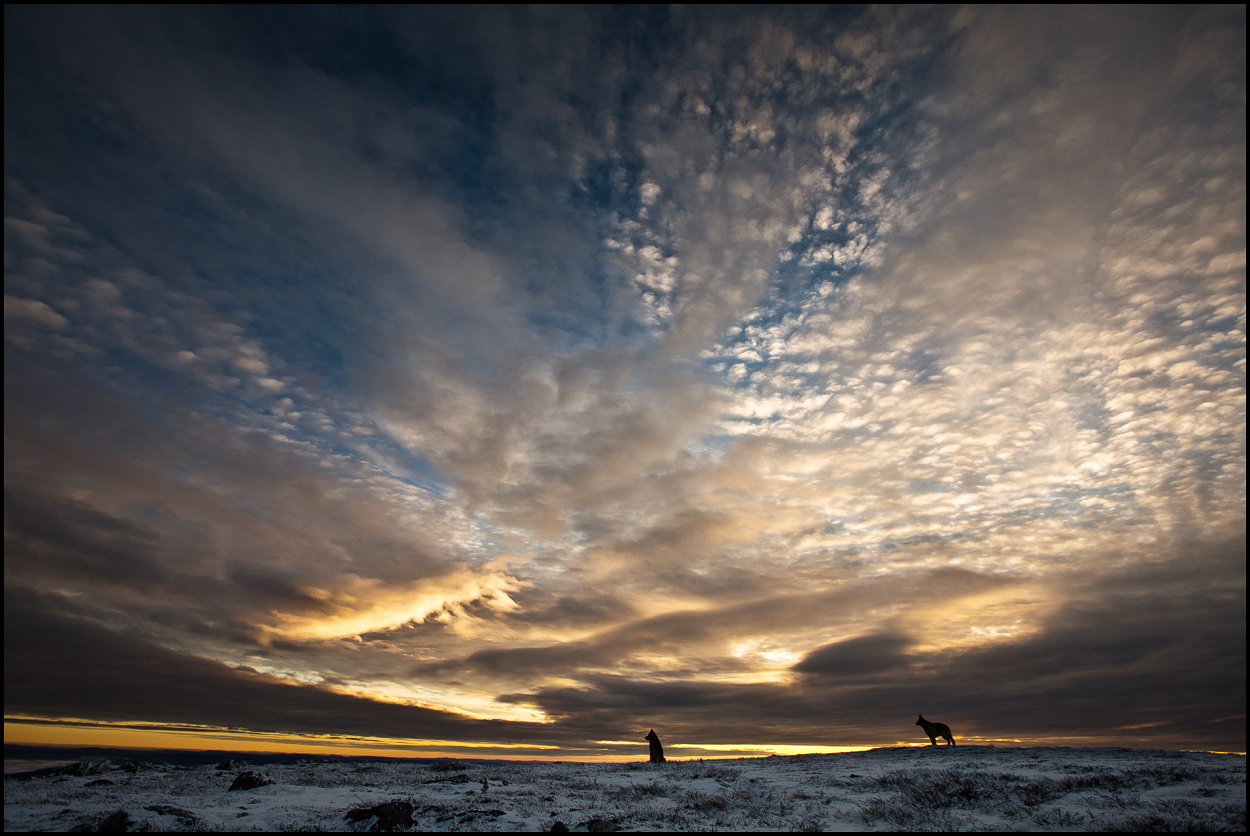 Big Sky ....