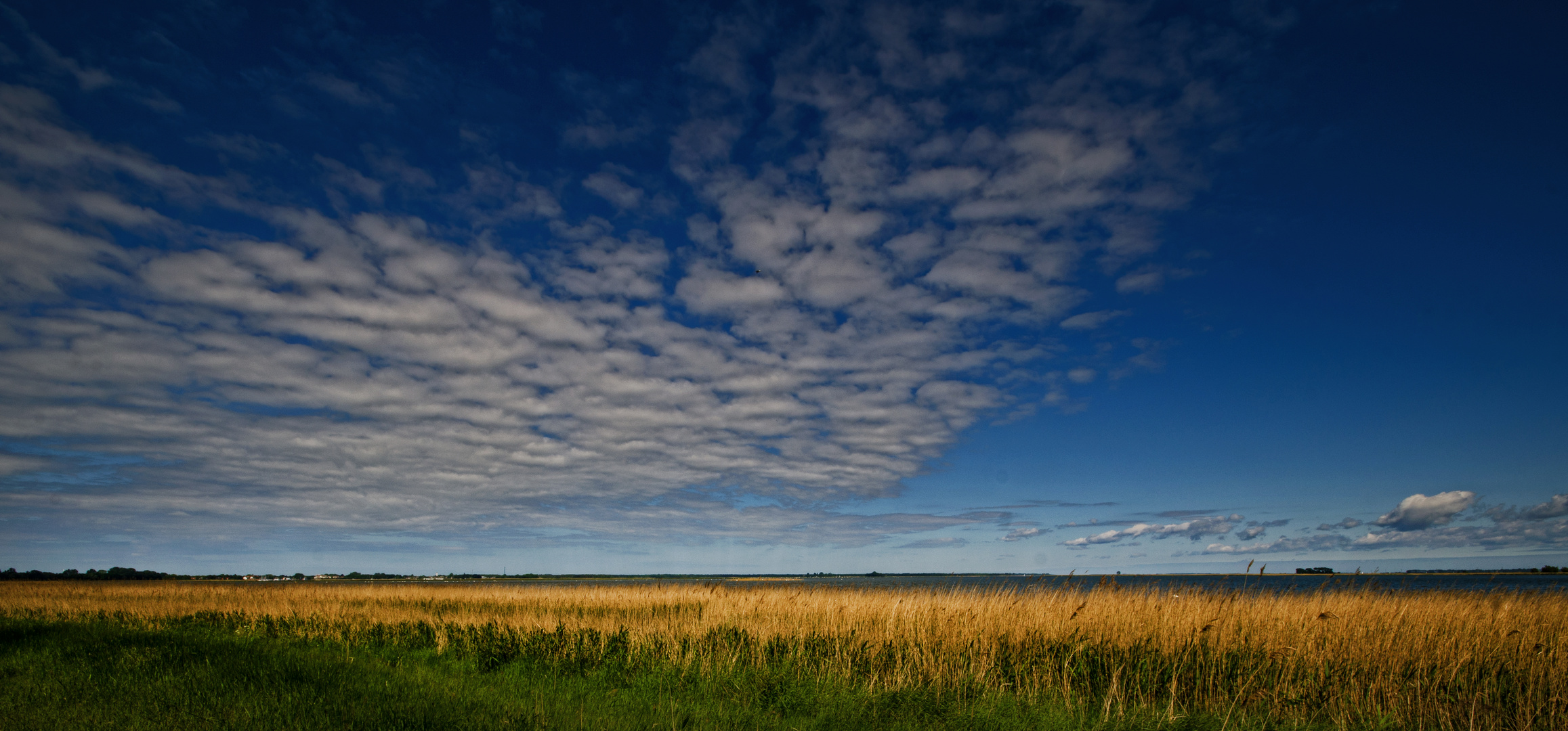 Big Sky