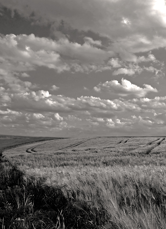 Big Sky Country