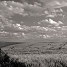 Big Sky Country