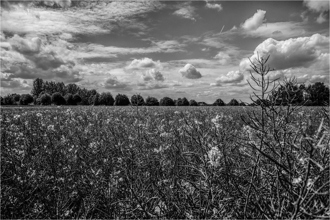 Big Sky Country 