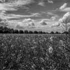 Big Sky Country 