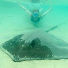 Big Stingray