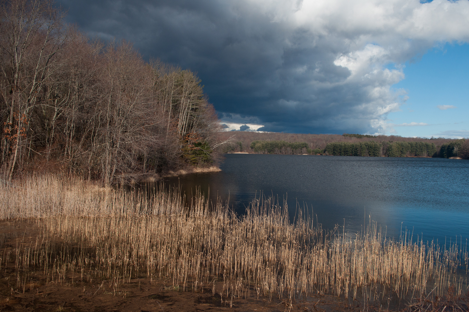 Big Storm Front