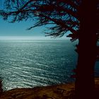 Big Sur, CA - 1990