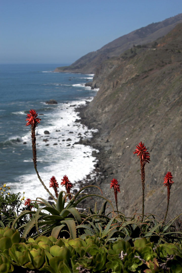 Big Sur CA @ Highway #1