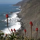 Big Sur CA @ Highway #1